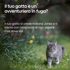 Māurice Trace™ Gatti – Il Localizzatore GPS N°1 Senza Abbonamento