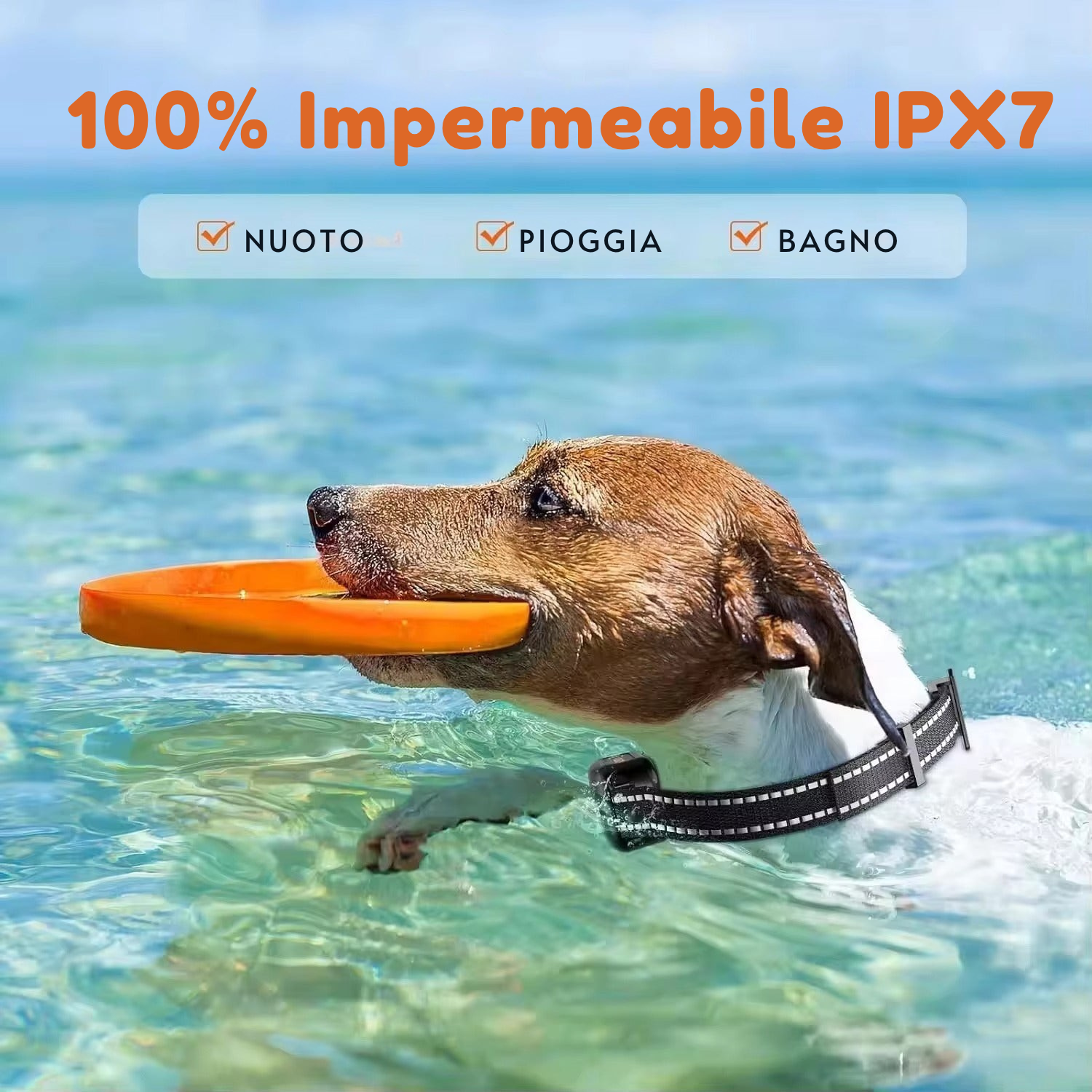 Collare per Addestramento Cani Elettrico con Telecomando – Impermeabile, 16 Livelli di Stimolazione, Portata 1000m, Modalità Beep e Vibrazione