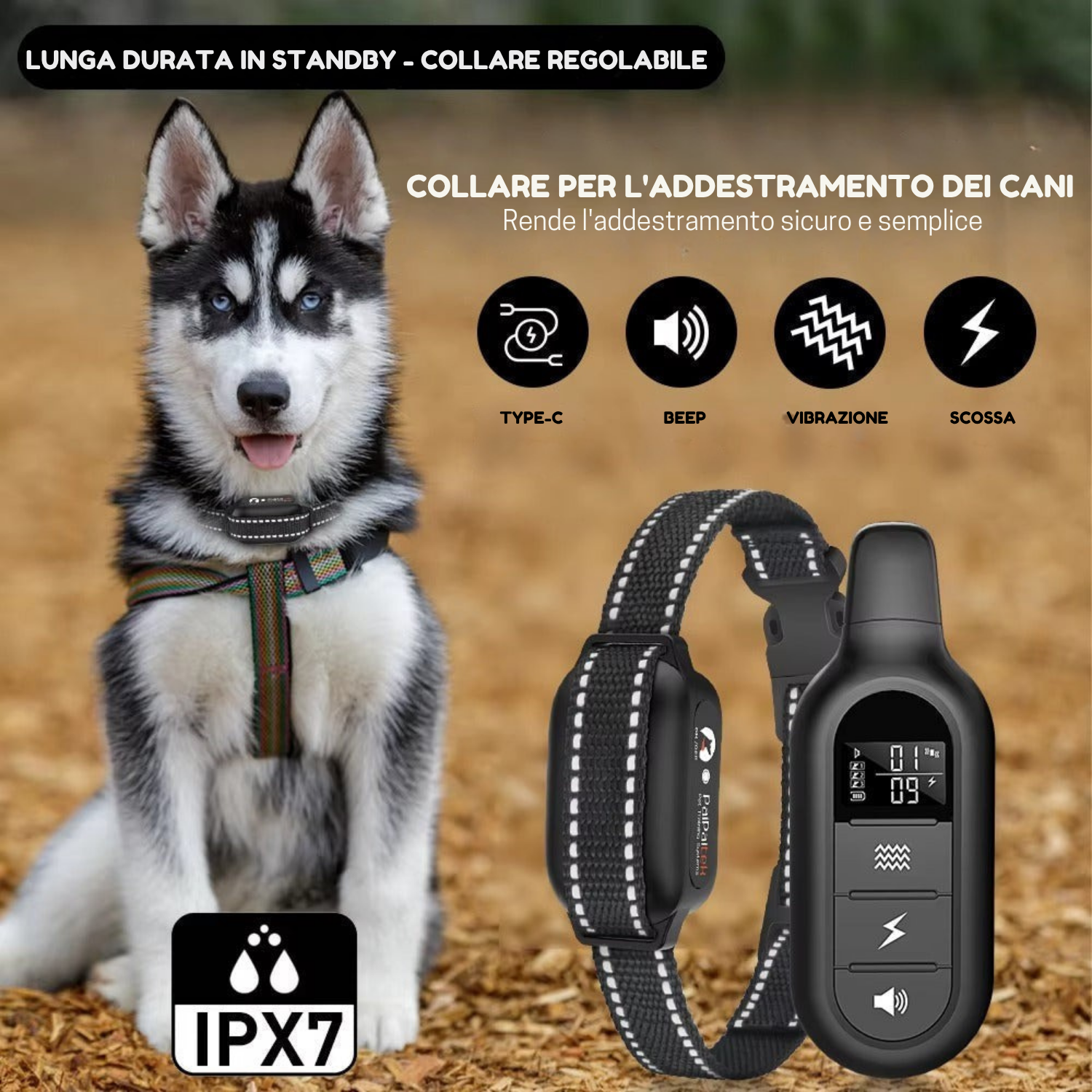 Collare per Addestramento Cani Elettrico con Telecomando – Impermeabile, 16 Livelli di Stimolazione, Portata 1000m, Modalità Beep e Vibrazione
