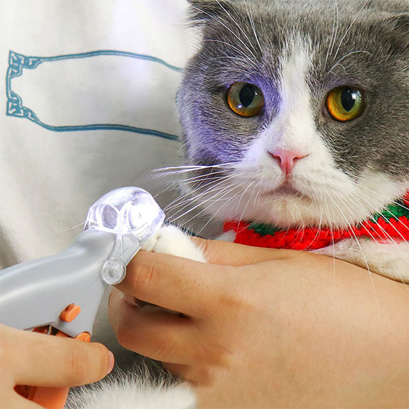 Tagliaunghie PawGuard Pro con sensori intelligenti di rilevamento rapido