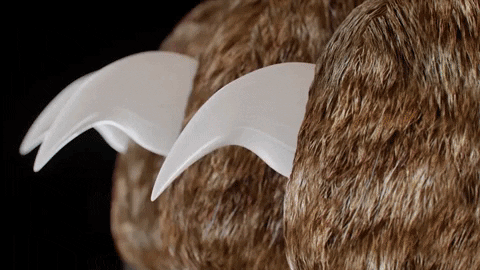 Tagliaunghie PawGuard Pro con sensori intelligenti di rilevamento rapido